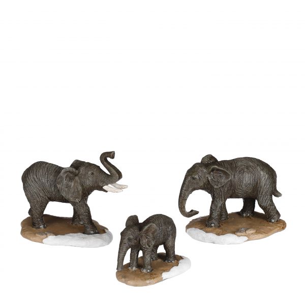 LUVILLE - Elephant Family